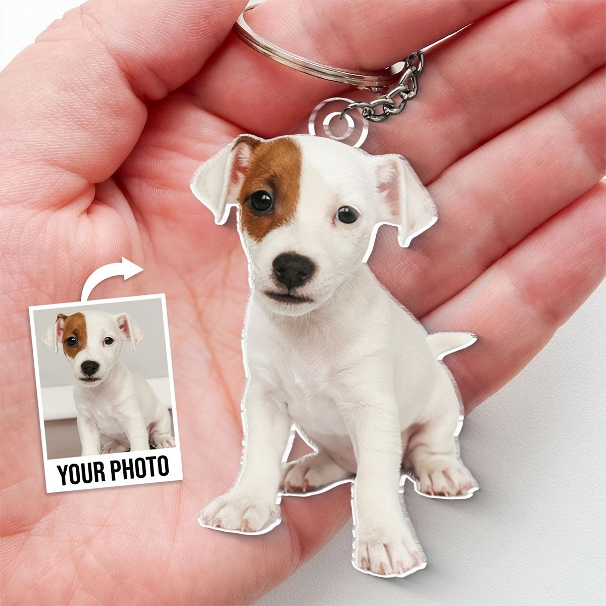 พวงกุญแจรูปภาพสีสันสดใสแบบตัดต - Laser Engraving Software บทวิจารณ์และราคา